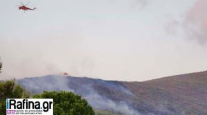 Μεγάλες δυνάμεις της Πυροσβεστικής επιχειρούν σε δύο πύρινα μέτωπα στη Νέα Μάκρη