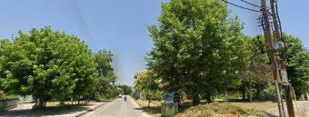 Καρδίτσα: Κίνδυνος από την απόθεση ξερών χόρτων επί της πλατείας πυλοποιού Αθανασίου Παππά