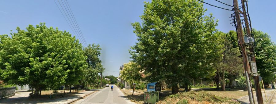 Καρδίτσα: Κίνδυνος από την απόθεση ξερών χόρτων επί της πλατείας πυλοποιού Αθανασίου Παππά