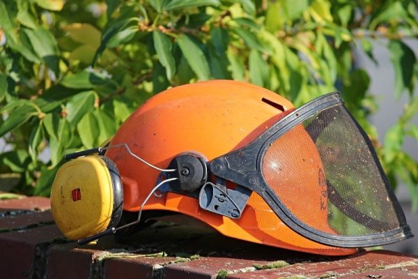 Τρεις εργάτες για δασοπροστασία θα προσλάβει ο Δήμος Σοφάδων