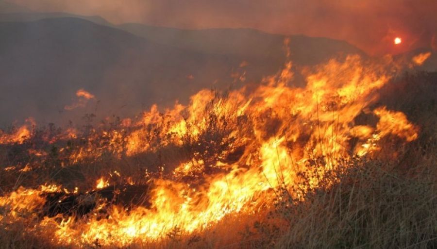 Πυρκαγιά στην περιοχή Άσπρες Πεταλούδες Νέας Ιωνίας Μαγνησίας - Μήνυμα του 112 για εκκένωση της περιοχής