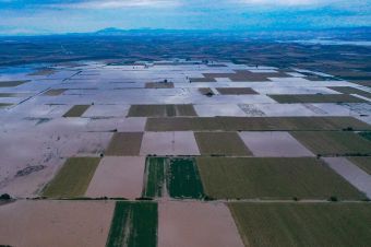 Θεσσαλία: Τηλεφωνική γραμμή ενημέρωσης για τους πληγέντες αγρότες και κτηνοτρόφους από την κακοκαιρία