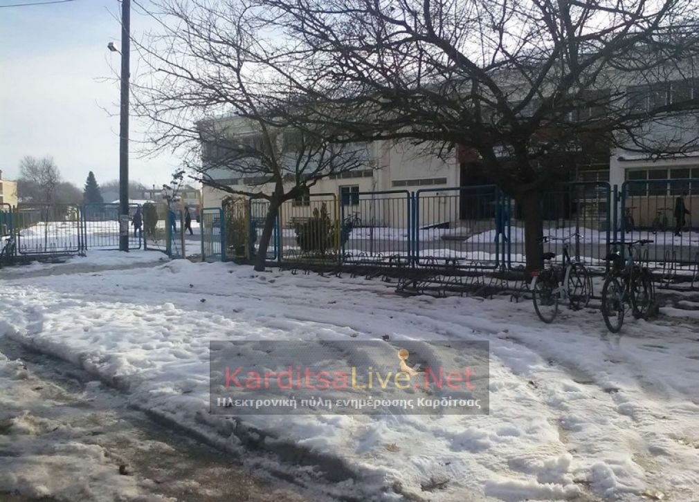 Προβληματική η πρώτη ημέρα μετά τον "χιονιά" σε Δημοτικά Σχολεία του ν. Καρδίτσας (+Φώτο)