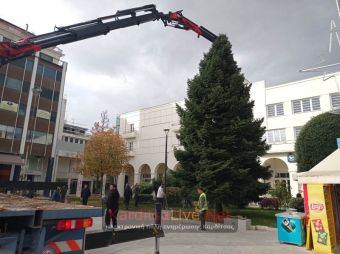 Επιχείρηση… «Χριστουγεννιάτικο δέντρο» στην Κεντρική Πλατεία (+Φωτο +Βίντεο)