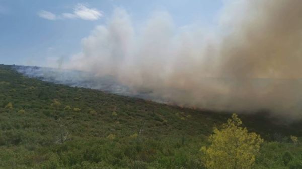 Υπό μερικό έλεγχο η πυρκαγιά σε χαμηλή βλάστηση στον Μαραθώνα