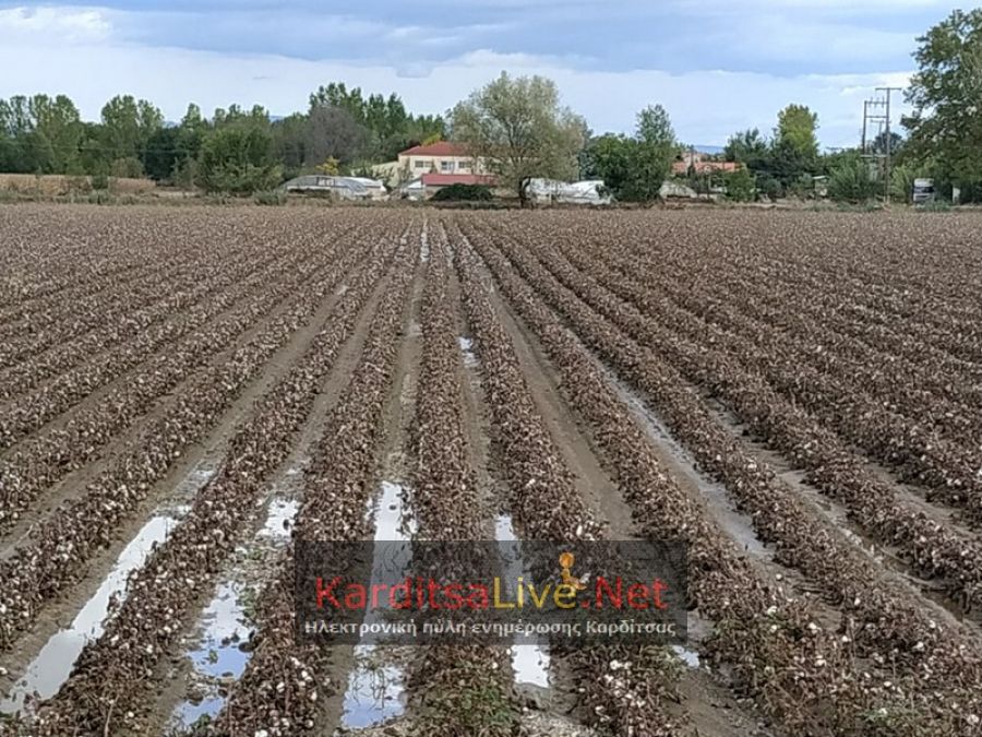 "Ιανός": «Μικρά βήματα» για το υπόλοιπο της αποζημίωσης κατόχων αγροτικών εκμεταλλεύσεων