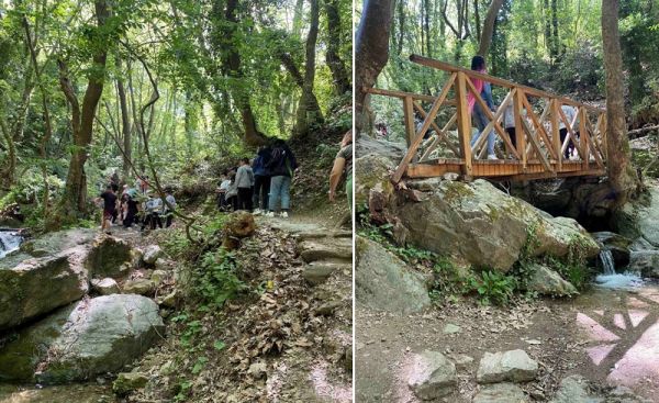 5ο Δημοτικό Σχολείο Καρδίτσας: Εκδρομή σε Πήλιο και Βόλο και δράσεις για την Ολυμπιακή Εβδομάδα