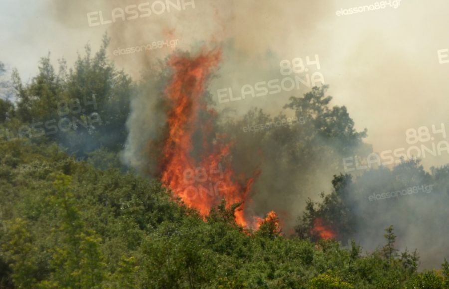 Λάρισα: Σε εξέλιξη πυρκαγιά ανάμεσα στο Αγιονέρι και τον Ευαγγελισμό