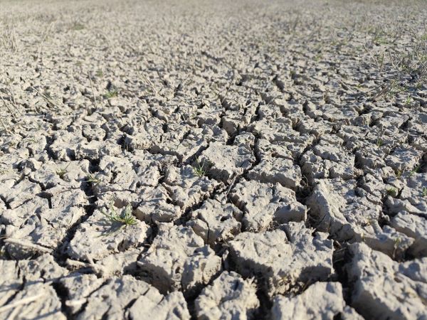 Συνεχίζεται η δωρεάν παροχή αναλύσεων εδάφους στους πληγέντες παραγωγούς από το Ι.Β.Κ.Φ. του ΕΛΓΟ