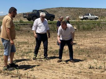 Ζημιές σε 7.000 στρέμματα καλλιεργειών σε Φάρσαλα και Ελασσόνα από το μπουρίνι της Παρασκευής (12/6)