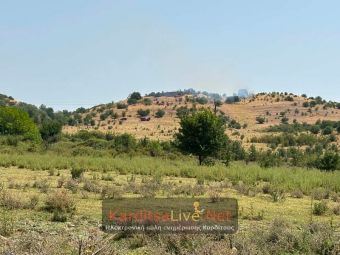 Ελέγχθηκε άμεσα η πυρκαγιά στη Δ.Ε. Ιθώμης (+Φώτο)