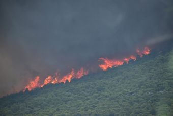 Πάρνηθα: Οι φλόγες μπήκαν στον Εθνικό Δρυμό! Αγνοείται ηλικιωμένος στη Χασιά (+Φωτο)
