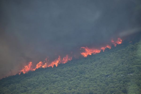 Πάρνηθα: Οι φλόγες μπήκαν στον Εθνικό Δρυμό! Αγνοείται ηλικιωμένος στη Χασιά (+Φωτο)