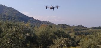 Πιλοτικοί ψεκασμοί με drones για την καταπολέμηση του δάκου της ελιάς, σε Κόκκινο Νερό, Καρίτσα και Κεραμίδι