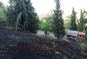 Πυρκαγιά έκαψε 2 στρέμματα δάσους έξω από τα Κανάλια - Τέθηκε γρήγορα υπό έλεγχο από την Π.Υ. (+Φώτο)
