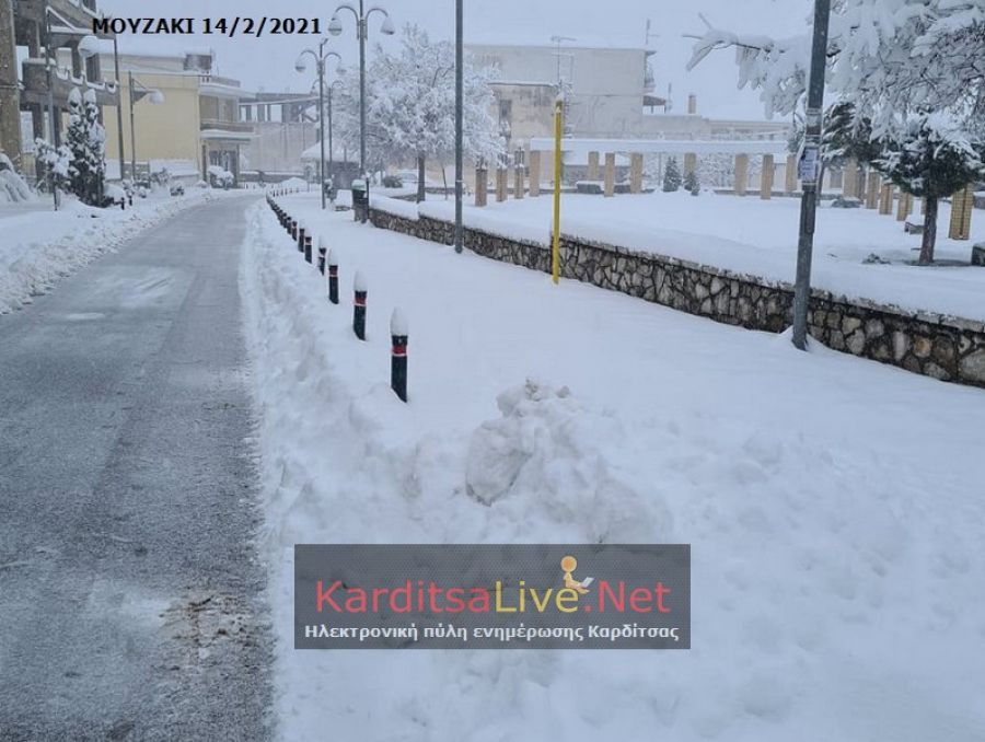 Κακοκαιρία Μήδεια: Ο Δήμος Μουζακίου θα μεταφέρει ηλικιωμένους που θέλουν να εμβολιαστούν στο Κέντρο Υγείας
