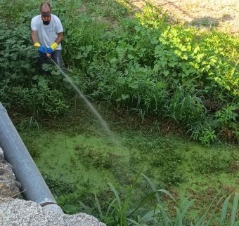 Περιφέρεια Θεσσαλίας: Σε εξέλιξη οι δράσεις καταπολέμησης κουνουπιών και ενημέρωσης των πολιτών