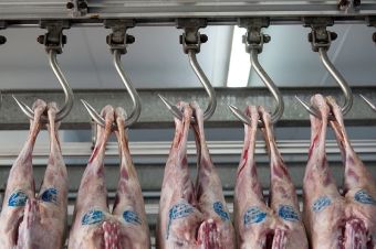 Αυξημένη η τιμή πώλησης του αρνιού στην Καρδίτσα - Πως διαμορφώνονται οι τιμές, πως κινούνται οι καταναλωτές (+Βίντεο)