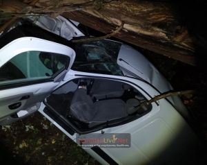 Θανατηφόρο τροχαίο για 45χρονο στο δρόμο μεταξύ Καλογριανών και Αγναντερού το βράδυ της Κυριακής (11/10)