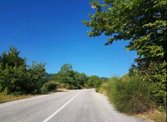Επιτροπή Αγώνα Καστανιάς: Καταγγελία για κίνδυνο οδικού ατυχήματος