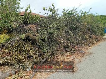 “Τρέχει και δεν φτάνει» ο Δήμος Καρδίτσας για την αποκομιδή κλαδιών και χόρτων (+Φωτο)