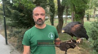 Θετικά αποτελέσματα φέρνει έως τώρα, το πρόγραμμα της ιερακοθηρίας για την απομάκρυνση των κορακοειδών από το Παυσίλυπο (+Φωτο +Βίντεο)