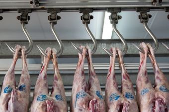Ίδια κίνηση με πέρυσι στα κρεοπωλεία της Καρδίτσας - Παραγγελίες για μισά αρνιά και άλλα κρέατα