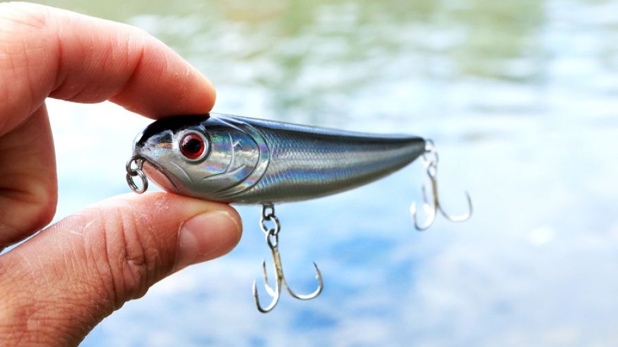 Shore Jigging: Επεξήγηση της τεχνικής και του εξοπλισμού