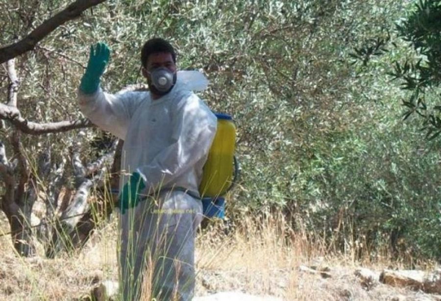 Διενέργεια γενικού δολωματικού ψεκασμού στους Δήμους Τεμπών και Αγιάς