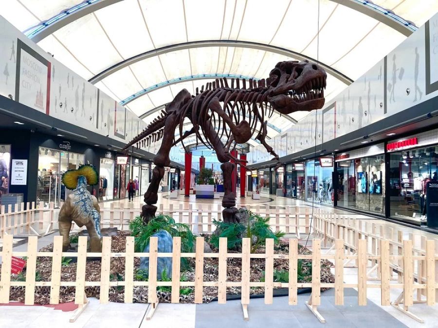 Το Μουσείο Φυσικής Ιστορίας Βόλου στο Fashion City Outlet και αυτό το Σάββατο!