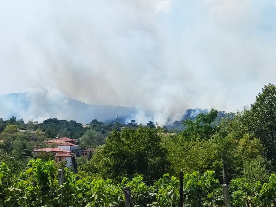Έβρος: Οδοιπορικό στη Δαδιά - Η φωτιά συνεχίζεται, μεγάλη η κινητοποίηση των δυνάμεων κατάσβεσης να διασωθούν άκαυτα τμήματα του δάσους
