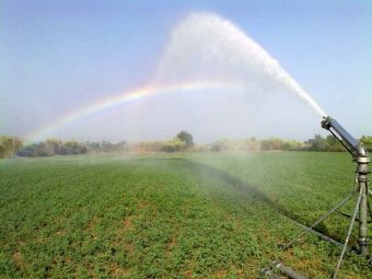 Δημοπρατείται το έργο κατασκευής υπόγειων αγωγών άρδευσης 9,4 χλμ. στη Ραψάνη