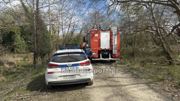 Λαμία: Νεκρός 68χρονος που καταπλακώθηκε από δέντρο