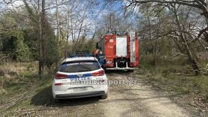 Λαμία: Νεκρός 68χρονος που καταπλακώθηκε από δέντρο