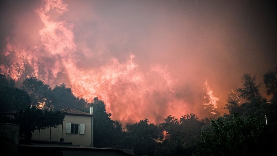 Το καταστροφικό της έργο συνεχίζει η πυρκαγιά στην Εύβοια (+Φώτο)