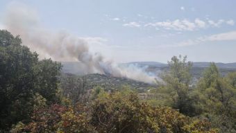 Μεγάλη πυρκαγιά στο Θεολόγο Μαλεσίνας - Εκκενώνεται οικισμός - Καίγονται κατοικίες (+Βίντεο)