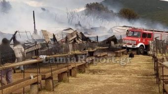 Δομοκός: Κάηκαν εκατοντάδες ζώα σε ποιμνιοστάσιο