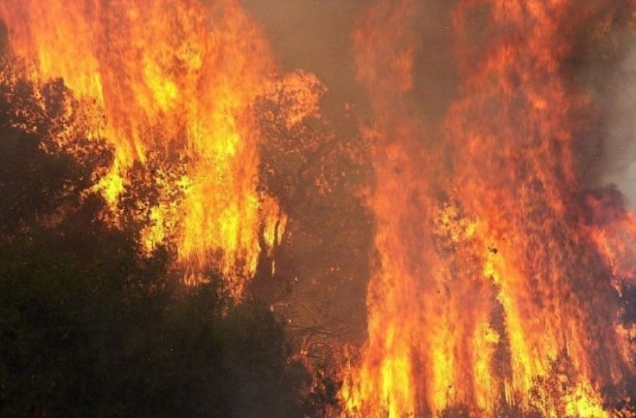 Θα δεσμεύονται τα περιουσιακά στοιχεία των εμπρηστών «οικοπεδοφάγων» και καταπατητών