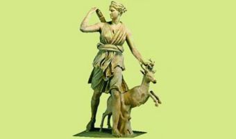 Κυνηγετικός Σύλλογος Καρδίτσας: Αναστολή συμμετοχής σε δράσεις ως ένδειξη διαμαρτυρίας για την απαγόρευση του κυνηγιού