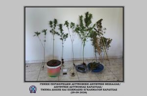Συνελήφθη 51χρονος στην Καρδίτσα που καλλιεργούσε δενδρύλλια κάνναβης