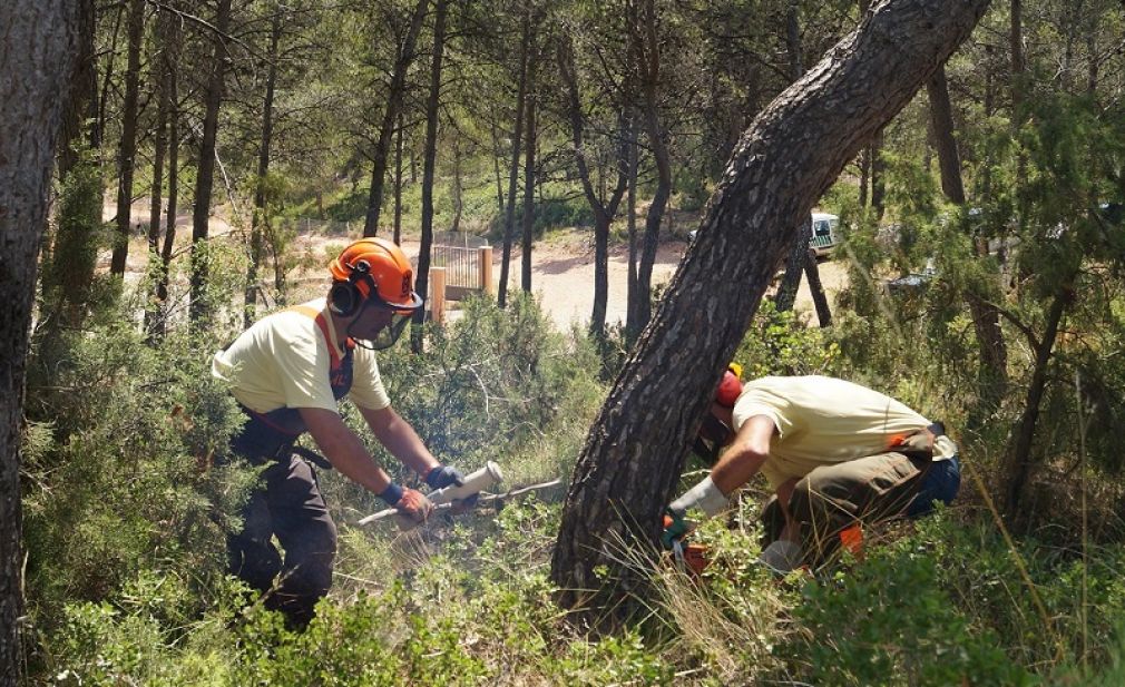 Καμένα Βούρλα: 41χρονος έχασε τη ζωή του στην προσπάθεια να κλαδέψει ένα πεύκο