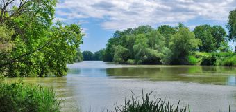 Δημοπρατείται ο καθαρισμός της δεξιάς δανειόταφρου του ποταμού Πηνειού σε περιοχές του Δήμου Παλαμά