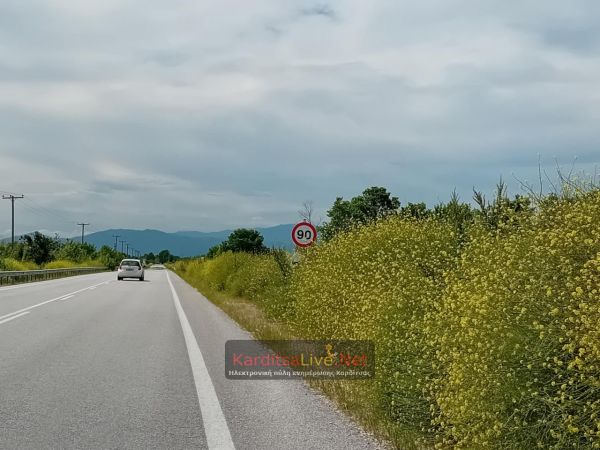 Λογοδοσία Δημοτικής Αρχής Καρδίτσας: Η ευλογιά των αιγοπροβάτων αυξάνει τον κίνδυνο… πυρκαγιάς!