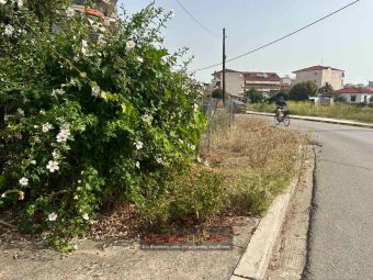 Ανύπαρκτο πεζοδρόμιο, με πυκνή βλάστηση, κοντά στο 5ο Δημοτικό Σχολείο Καρδίτσας (+Φωτο)