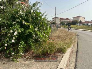 Ανύπαρκτο πεζοδρόμιο, με πυκνή βλάστηση, κοντά στο 5ο Δημοτικό Σχολείο Καρδίτσας (+Φωτο)