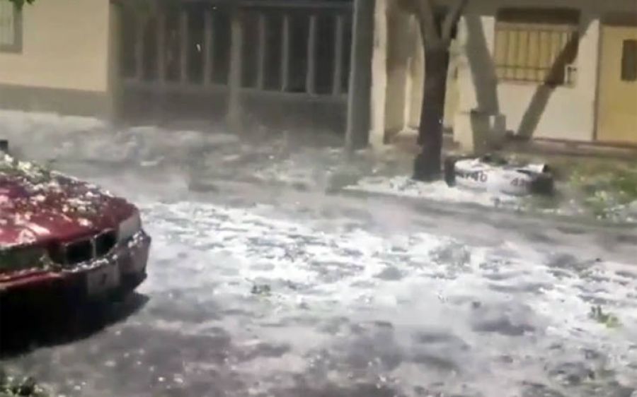 Ασύλληπτη χαλαζόπτωση στην Αργεντινή, οι δρόμοι γέμισαν νεκρά πουλιά (+Βίντεο)