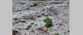 Ισχυρές καταιγίδες και κατά τόπους χαλαζοπτώσεις σημειώθηκαν στα ορεινά της Καρδίτσας