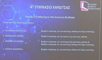 4ο Γυμνάσιο Καρδίτσας: 1ος Πανελλήνιος Μαθητικός Οικονομικός Διαγωνισμός
