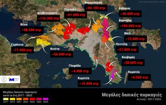 Το 38% των δασών της Αττικής κάηκε μέσα στα 9 τελευταία χρόνια