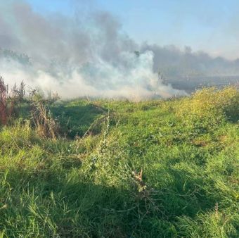 Μεγάλη πυρκαγιά άγγιξε σπίτια στη Μαραθέα Καρδίτσας το απόγευμα της Τρίτης (30/6)